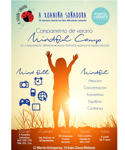 CAMPAMENTOS DE VERANO 2017 VIGO