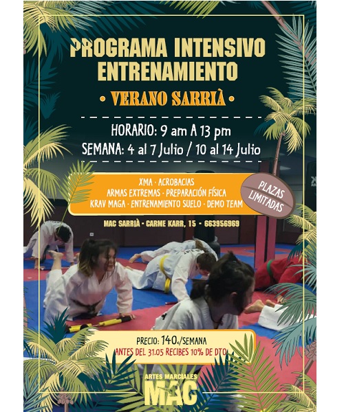 CASAL VERANO 2017 ARTES MARCIALES SARRIA SANT GERVASI